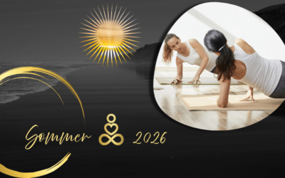 Sommerprogramm 2026