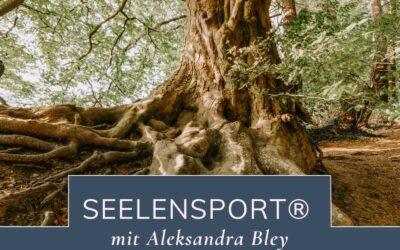 Seelensport
